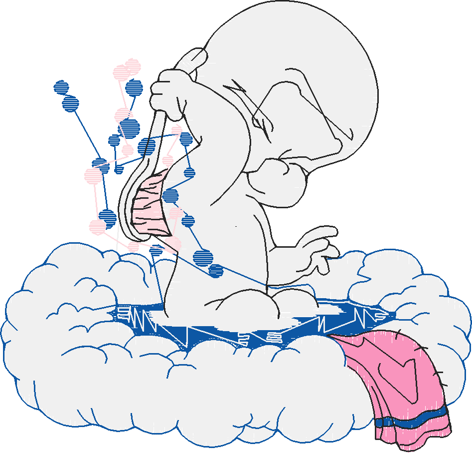Casper (4)